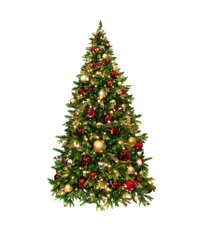 NU PUUR & GROEN Sapin de Noël artificiel avec éclairage | Mélange Premium 220 cm