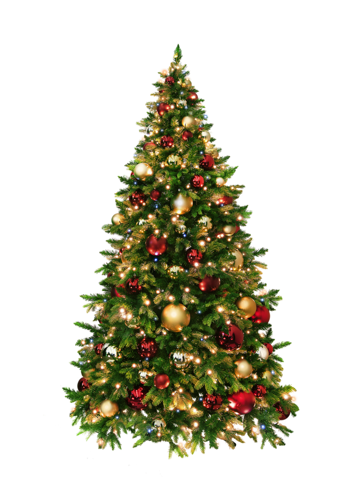 NU PUUR & GROEN Kunst Kerstboom inclusief verlichting | Premium Mix 250 cm NU PUUR & GROEN Kunst Kerstboom inclusief verlichting | Premium Mix 250 cm