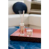 Baobab Collection My First Baobab | Platinum Gift Box Baobab Collection My First Baobab | Platinum Gift Box