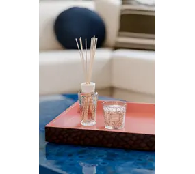 Baobab Collection Mein erster Baobab | Platin-Geschenkbox Baobab Collection Mein erster Baobab | Platin-Geschenkbox