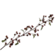 Silk-ka Blackberry Branch Brown | 156 cm Silk-ka Blackberry Branch Brown | 156 cm