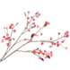 Silk-ka Bærgren Skjønnhet | 122 cm Silk-ka Bærgren Skjønnhet | 122 cm