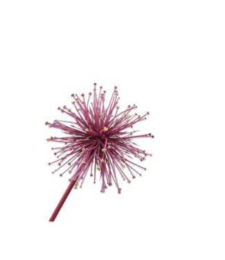 SILK-KA Allium Acier Beauté | 104 cm