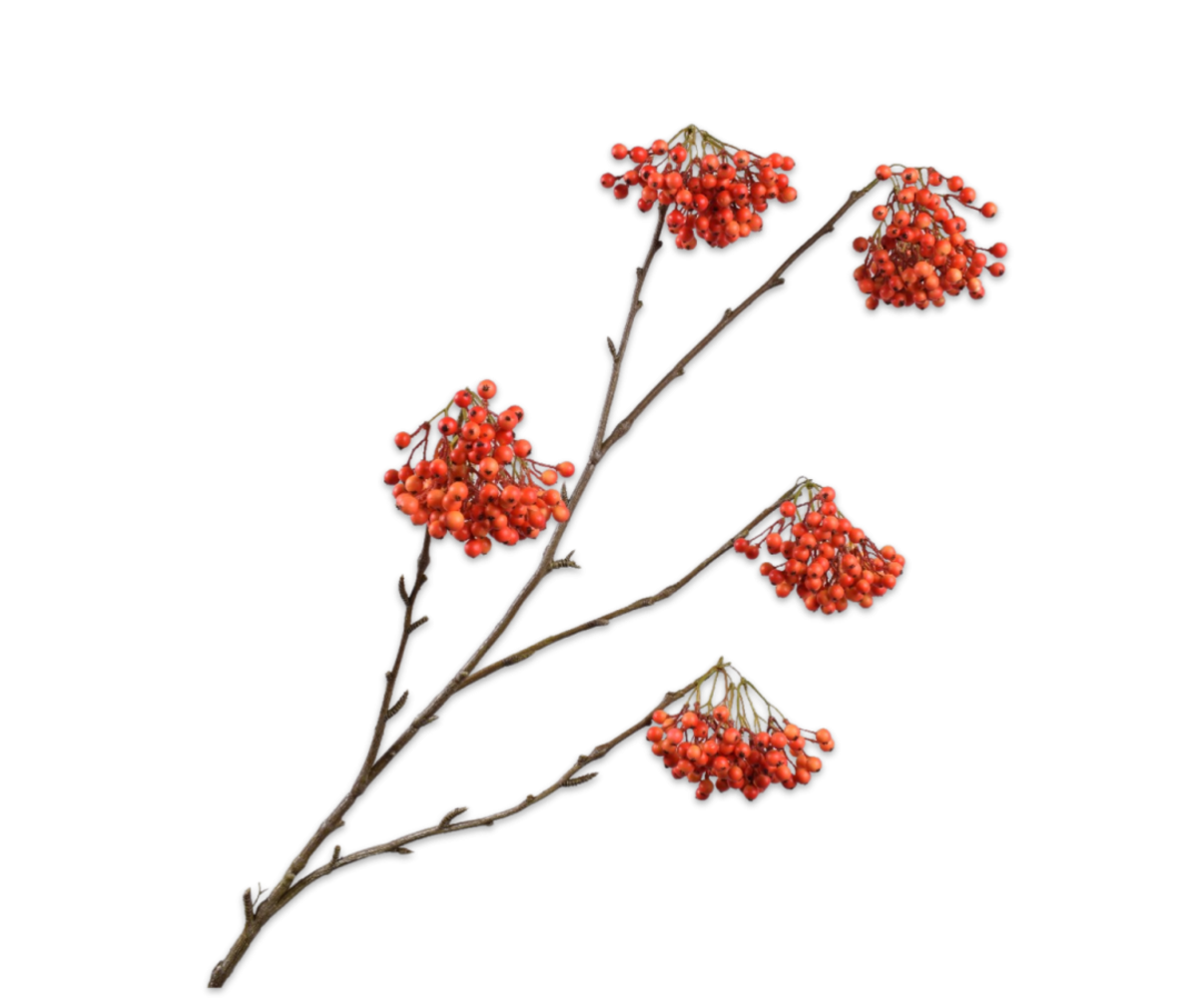 SILK-KA Beerenzweig Orange | 140 cm