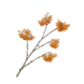 SILK-KA Berry branch Orange / Yellow | 140 cm SILK-KA Berry branch Orange / Yellow | 140 cm