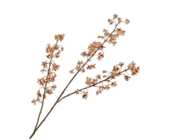 SILK-KA Blütenzweig Gold | 112 cm SILK-KA Blütenzweig Gold | 112 cm