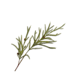 SILK-KA Needle Branch Pine Green | 111 cm SILK-KA Needle Branch Pine Green | 111 cm