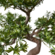 Greenmoods Kunstbonsaiboom Den UV 90cm Greenmoods Kunstbonsaiboom Den UV 90cm