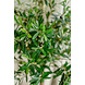 Greenmoods Künstlicher Olivenbaum mit Oliven 155 cm Greenmoods Künstlicher Olivenbaum mit Oliven 155 cm