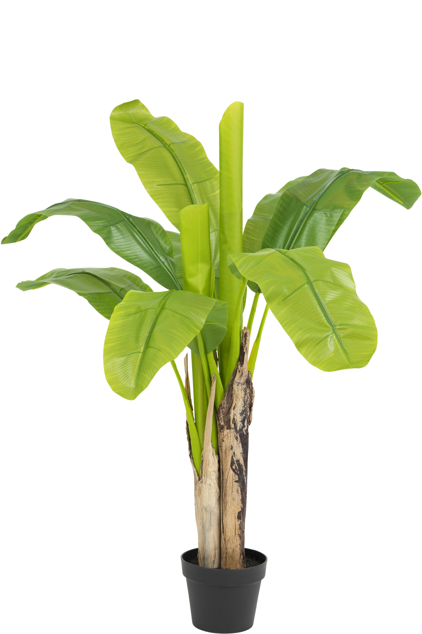 https://cdn.webshopapp.com/shops/64323/files/443760880/greenmoods-pianta-artificiale-banano-120-cm.jpg