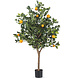 Greenmoods Kunst sinaasappelboom 120 cm Greenmoods Kunst sinaasappelboom 120 cm
