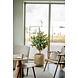 Greenmoods Kunst sinaasappelboom 120 cm Greenmoods Kunst sinaasappelboom 120 cm