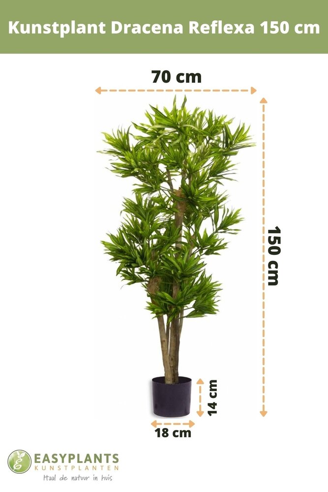 Plantas colgantes artificiales - Greenmoods