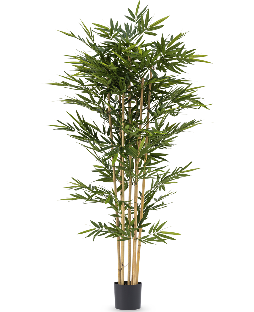 Plantas colgantes artificiales - Greenmoods