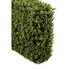 Greenmoods Künstliche Buchsbaumhecke 70x20x50 cm UV Greenmoods Künstliche Buchsbaumhecke 70x20x50 cm UV