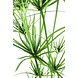 Greenmoods Kunstrasenpflanze Cyperus 140 cm Greenmoods Kunstrasenpflanze Cyperus 140 cm