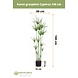 Greenmoods Kunstrasenpflanze Cyperus 140 cm Greenmoods Kunstrasenpflanze Cyperus 140 cm