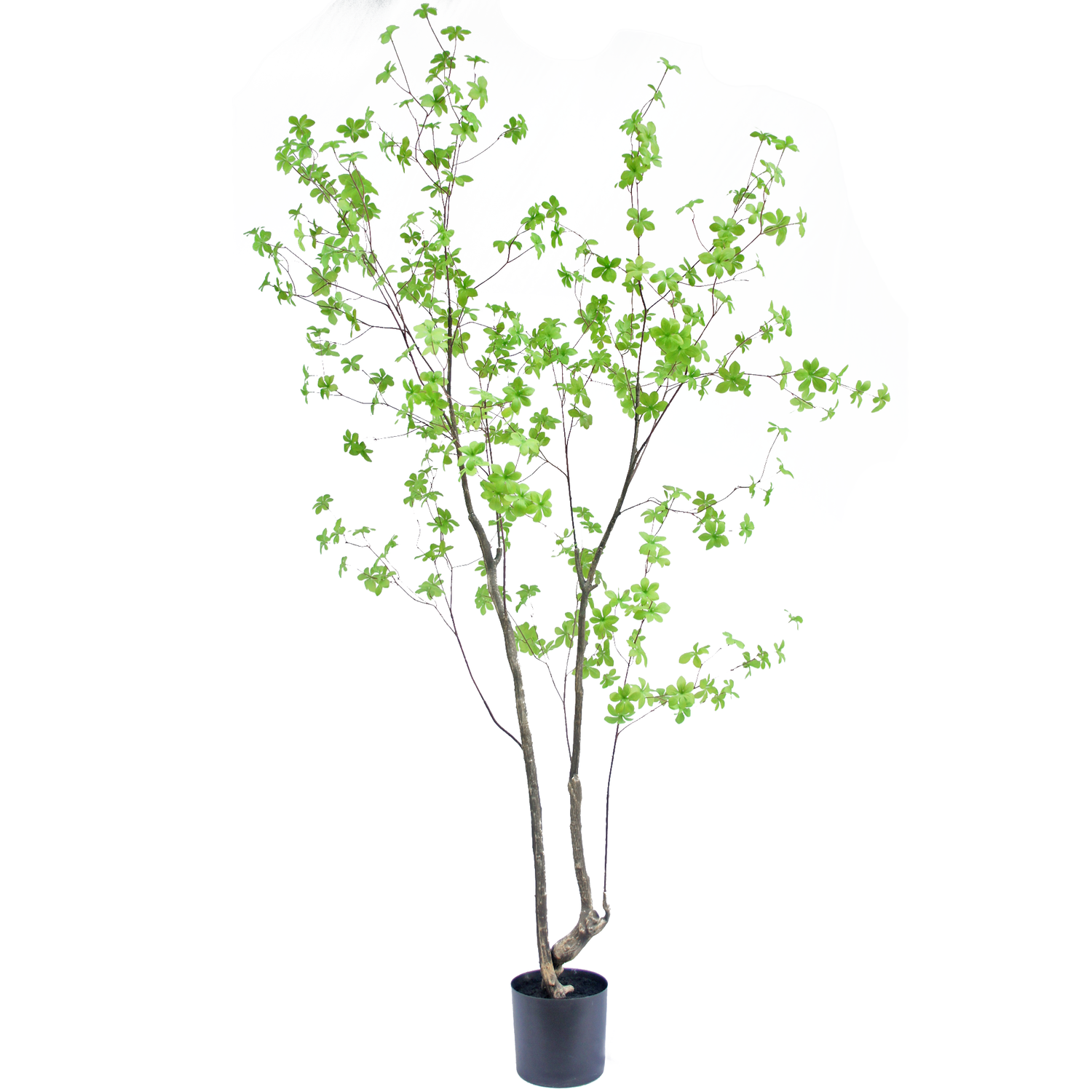 Plantas colgantes artificiales - Greenmoods