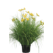 Greenmoods Kunstrasenpflanze Asteraceae 100 cm Greenmoods Kunstrasenpflanze Asteraceae 100 cm
