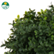 Greenmoods Künstliche Buchsbaumkugel auf Stiel im römischen Stil, 65 cm Greenmoods Künstliche Buchsbaumkugel auf Stiel im römischen Stil, 65 cm