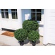 Greenmoods Buksbom kunstig ball på stamme romersk stil 65cm Greenmoods Buksbom kunstig ball på stamme romersk stil 65cm