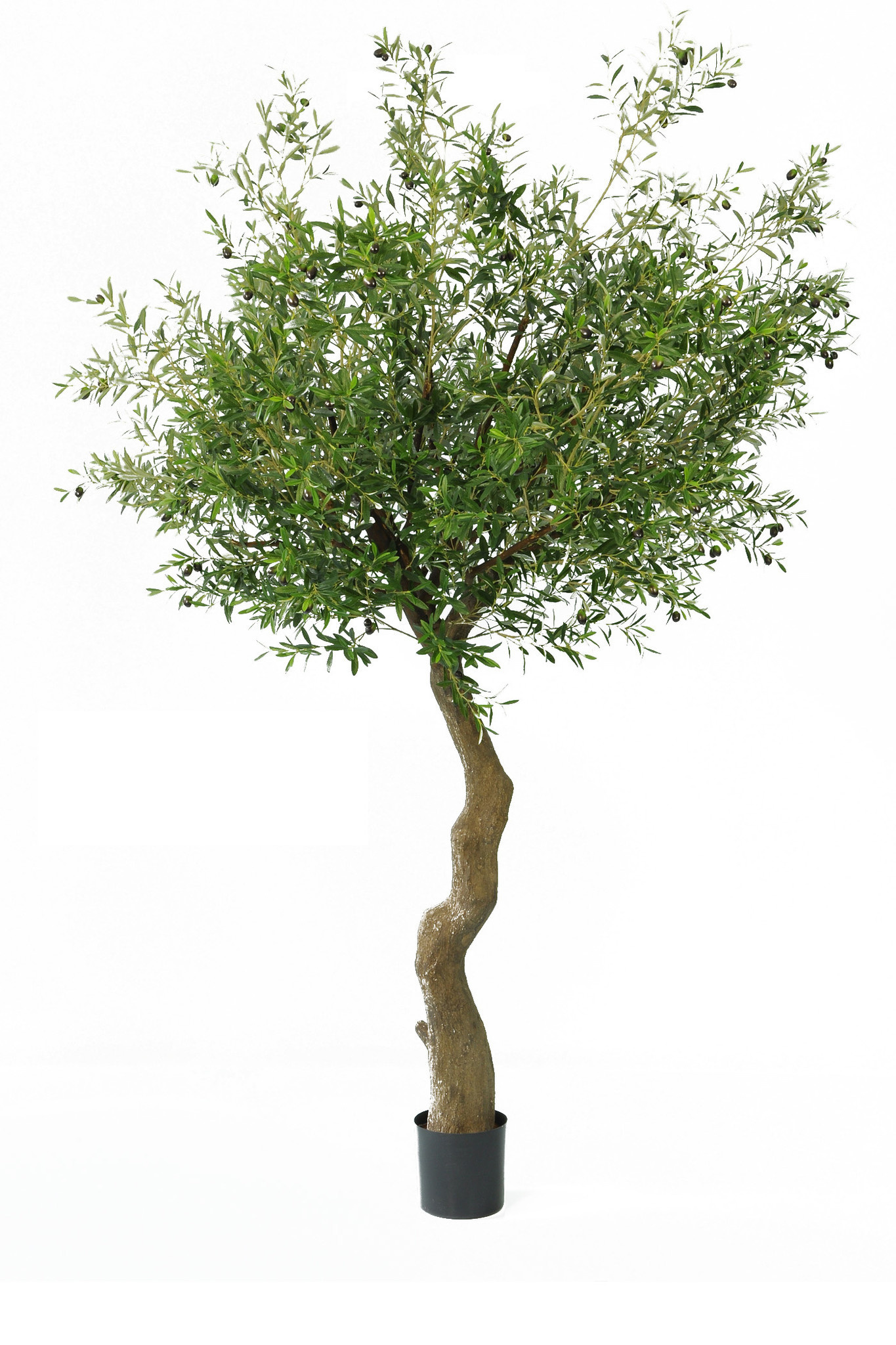 Greenmoods Bonsaï artificiel 70 cm en pot - Greenmoods