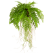 Greenmoods Künstliche Hängepflanze Farn mit Wurzeln d35 cm mit Aufhängesystem Greenmoods Künstliche Hängepflanze Farn mit Wurzeln d35 cm mit Aufhängesystem