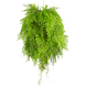 Greenmoods Kunst hangplant Varen met wortels d80 cm met hangsysteem Greenmoods Kunst hangplant Varen met wortels d80 cm met hangsysteem