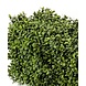 Greenmoods Artificial Boxwood hedge 100x20x25 cm UV Greenmoods Artificial Boxwood hedge 100x20x25 cm UV