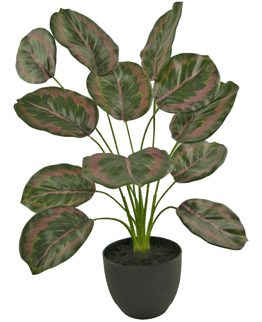 Calathea Pianta Artificiale - Arte Fiore