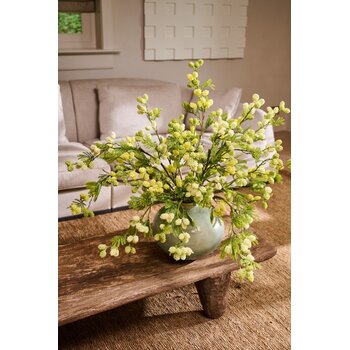 Bloemen