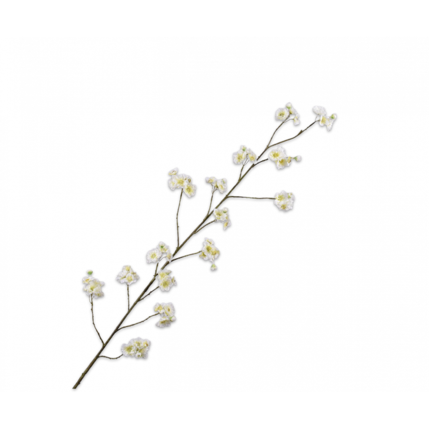 Blütenzweigcreme | 158 cm - NU PUUR & GROEN