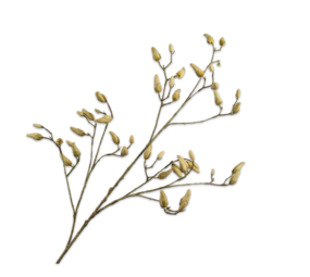 SILK-KA Magnolia Branch Grønn / Grå | 132 cm