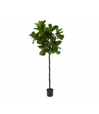 SILK-KA Ficus Grün | 210 cm