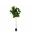 SILK-KA Ficus Groen | 210 cm
