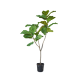 SILK-KA Ficus Verde | 151cm SILK-KA Ficus Verde | 151cm