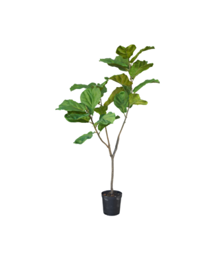 SILK-KA Ficus Groen | 151 cm
