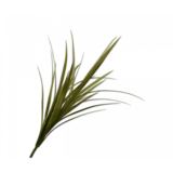 SILK-KA Branche de Yucca Vert | 122 cm