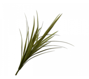 SILK-KA Ramo di yucca verde | 122 cm SILK-KA Ramo di yucca verde | 122 cm