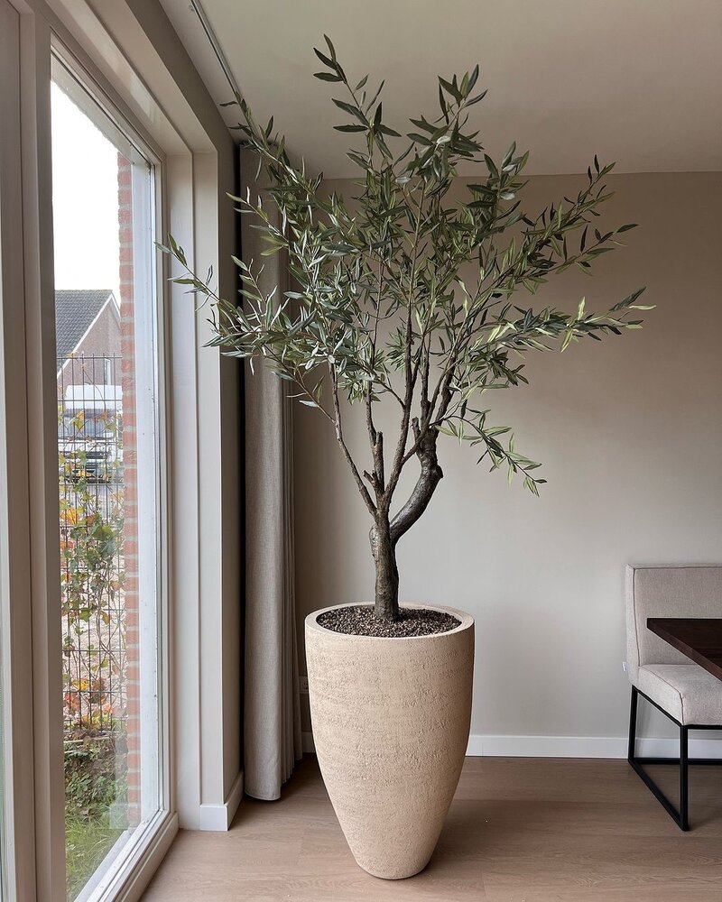 SILK-KA Olivenbaumgrün | 198 cm SILK-KA Olivenbaumgrün | 198 cm