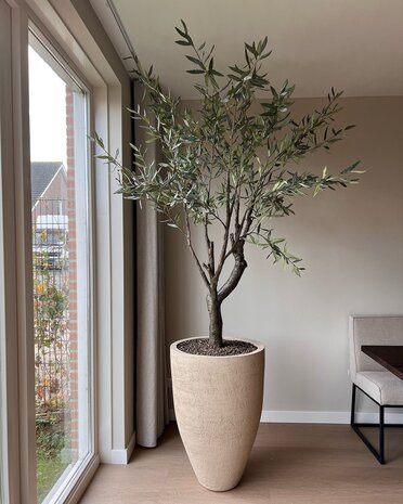 SILK-KA Verde Olivo | 198 cm SILK-KA Verde Olivo | 198 cm