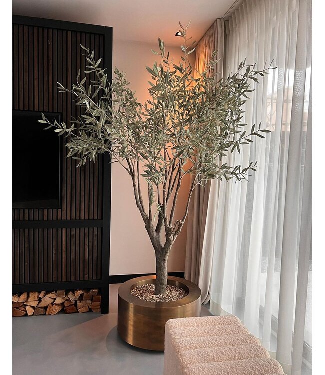 SILK-KA Verde Olivo | 244cm
