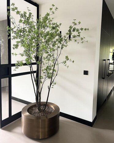 SILK-KA Bucida | 244 cm SILK-KA Bucida | 244 cm