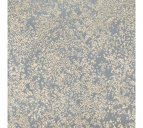 Romo Etsu Wallcoverings | Nyiri Andesitt Romo Etsu Wallcoverings | Nyiri Andesitt