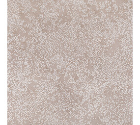 Romo Revestimientos de paredes Etsu | Rosa salvaje de Nyiri Romo Revestimientos de paredes Etsu | Rosa salvaje de Nyiri