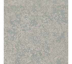 Romo Rivestimenti murali Etsu | Nyiri Argento Blu Romo Rivestimenti murali Etsu | Nyiri Argento Blu