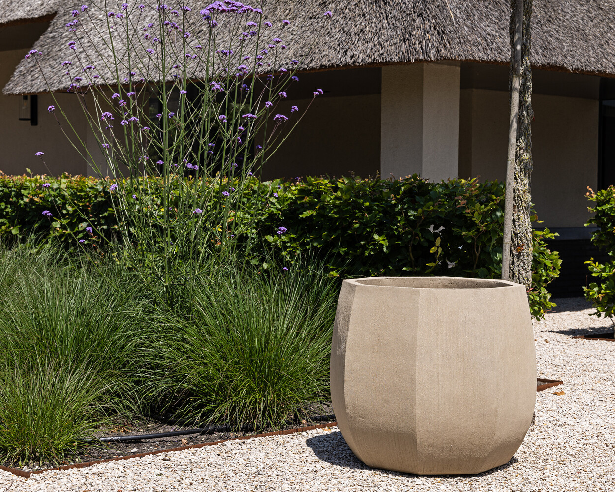 DOMANI ALMA | Bianco naturale DOMANI ALMA | Bianco naturale