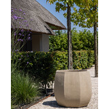 DOMANI ALMA | Naturlig hvit