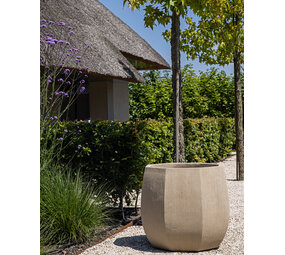 DOMANI ALMA | Bianco naturale DOMANI ALMA | Bianco naturale