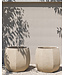 DOMANI ALMA | Blanc naturel